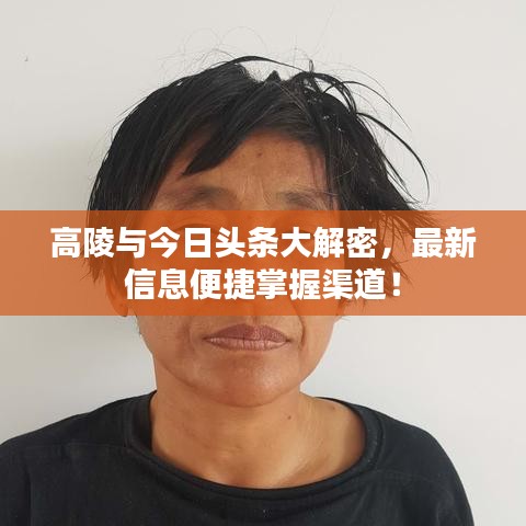 高陵与今日头条大解密，最新信息便捷掌握渠道！