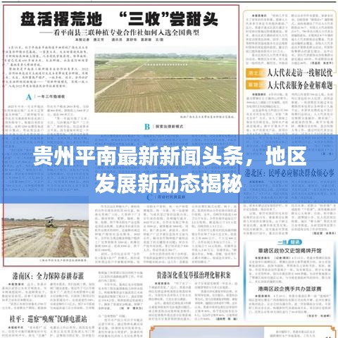 贵州平南最新新闻头条，地区发展新动态揭秘