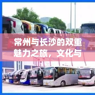 常州与长沙的双重魅力之旅，文化与美食的完美结合攻略