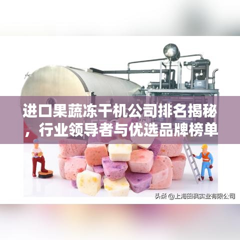 进口果蔬冻干机公司排名揭秘，行业领导者与优选品牌榜单揭晓！