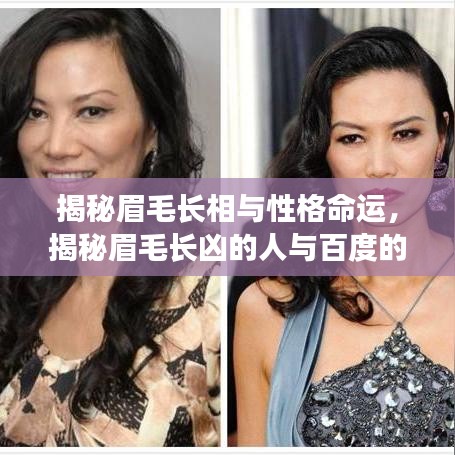 揭秘眉毛长相与性格命运，揭秘眉毛长凶的人与百度的神秘联系！