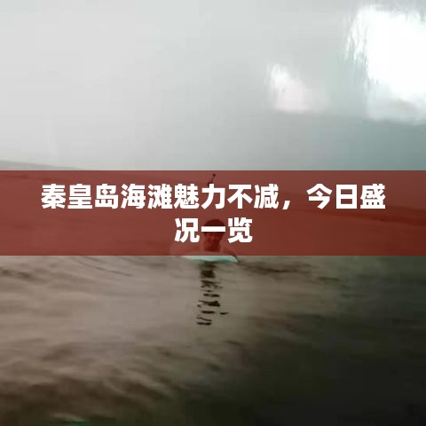 秦皇岛海滩魅力不减，今日盛况一览