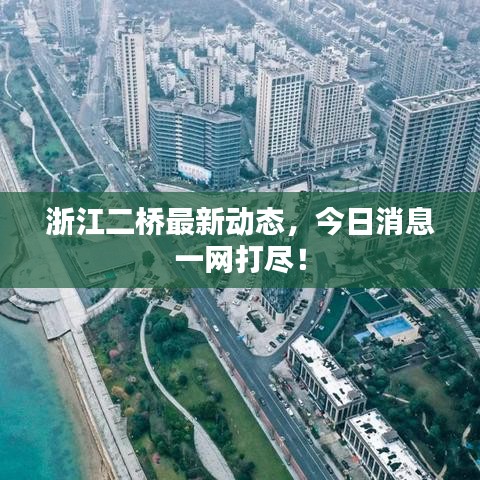 浙江二桥最新动态，今日消息一网打尽！