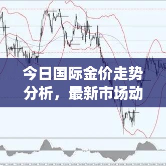 今日国际金价走势分析，最新市场动向与投资指南
