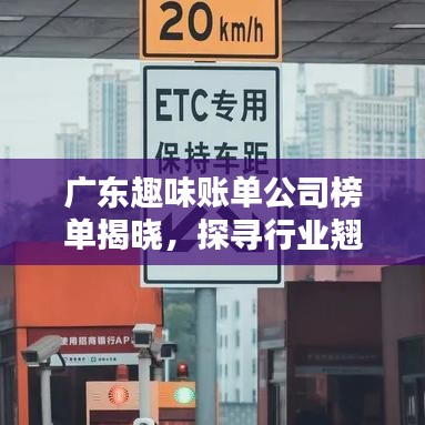 广东趣味账单公司榜单揭晓，探寻行业翘楚的神秘面纱