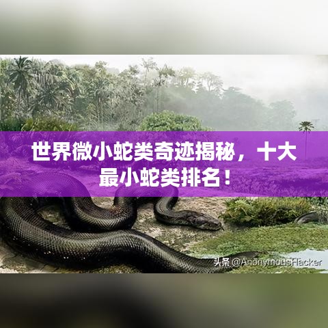 世界微小蛇类奇迹揭秘，十大最小蛇类排名！