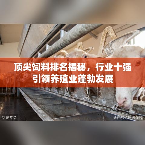 顶尖饲料排名揭秘，行业十强引领养殖业蓬勃发展