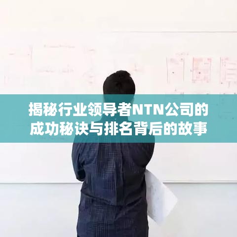 揭秘行业领导者NTN公司的成功秘诀与排名背后的故事