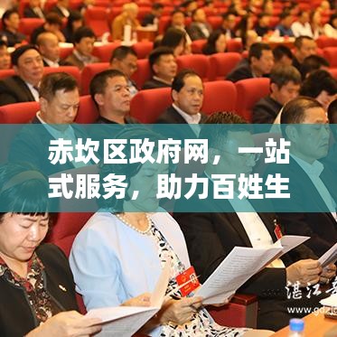 赤坎区政府网，一站式服务，助力百姓生活更便捷美好