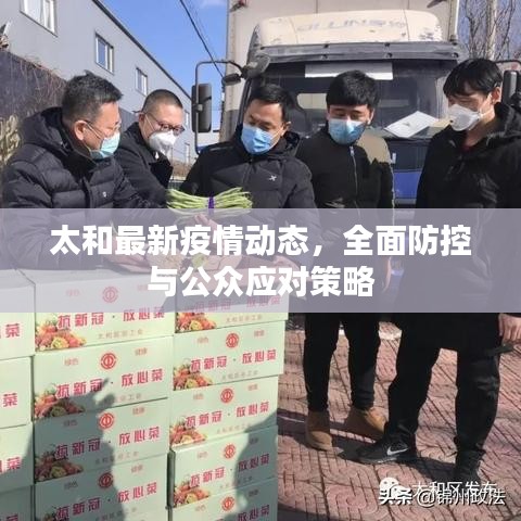 太和最新疫情动态，全面防控与公众应对策略