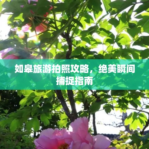 如皋旅游拍照攻略，绝美瞬间捕捉指南