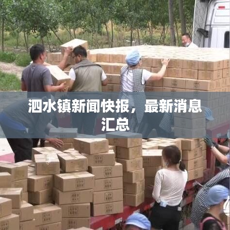 泗水镇新闻快报，最新消息汇总