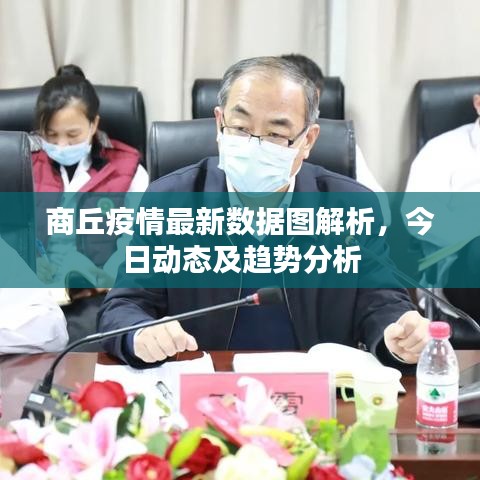 商丘疫情最新数据图解析，今日动态及趋势分析