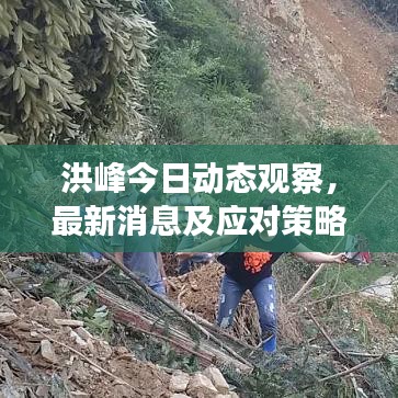 洪峰今日动态观察，最新消息及应对策略发布