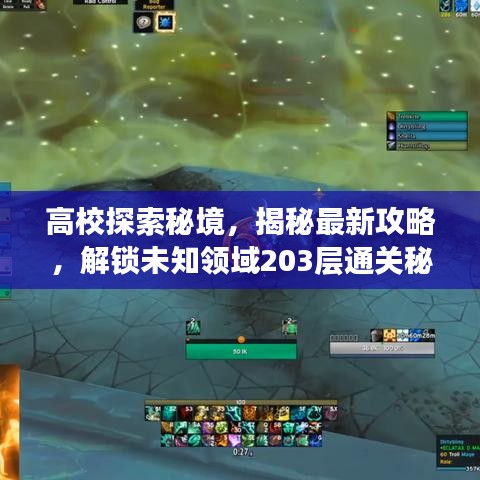 高校探索秘境，揭秘最新攻略，解锁未知领域203层通关秘诀！