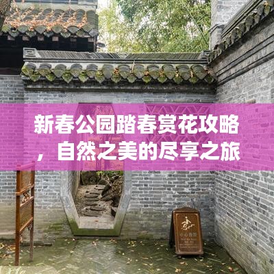 新春公园踏春赏花攻略，自然之美的尽享之旅