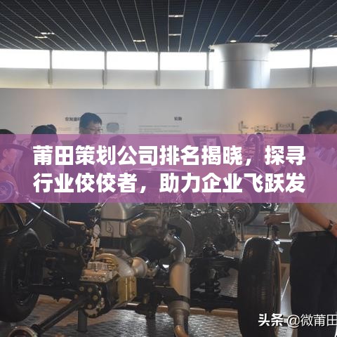 莆田策划公司排名揭晓，探寻行业佼佼者，助力企业飞跃发展