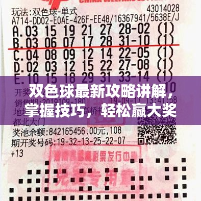 双色球最新攻略讲解，掌握技巧，轻松赢大奖！
