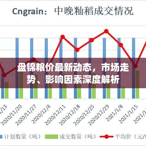 盘锦粮价最新动态，市场走势、影响因素深度解析