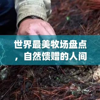 世界最美牧场盘点，自然馈赠的人间仙境之旅