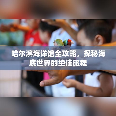 哈尔滨海洋馆全攻略，探秘海底世界的绝佳旅程