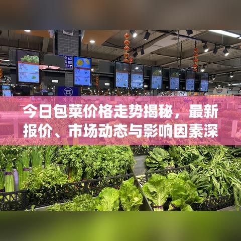 今日包菜价格走势揭秘，最新报价、市场动态与影响因素深度解析
