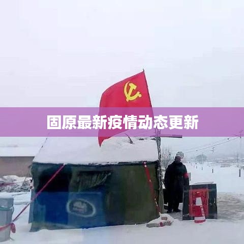 固原最新疫情动态更新