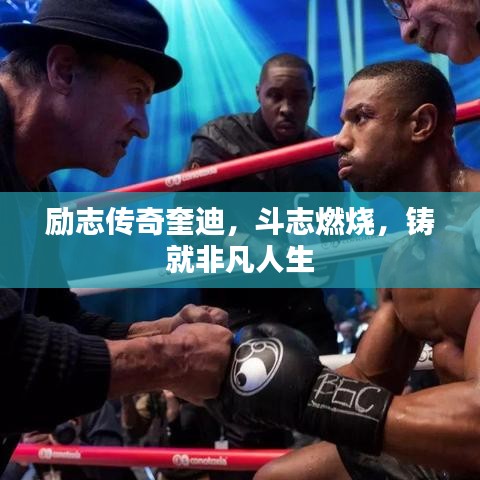 励志传奇奎迪，斗志燃烧，铸就非凡人生
