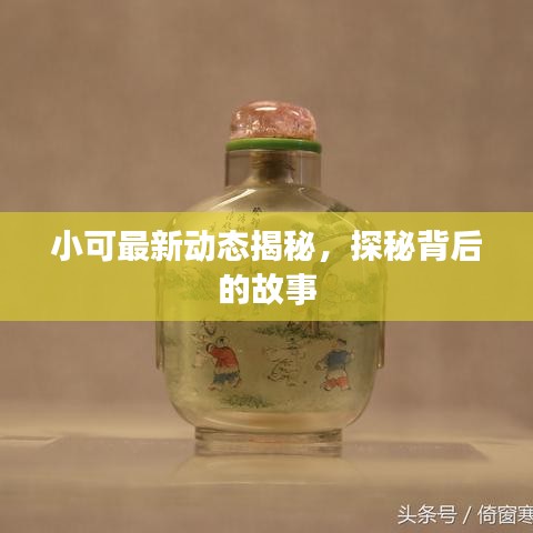 小可最新动态揭秘，探秘背后的故事