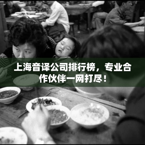 上海音译公司排行榜，专业合作伙伴一网打尽！