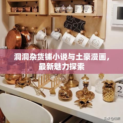 洞洞杂货铺小说与土豪漫画，最新魅力探索