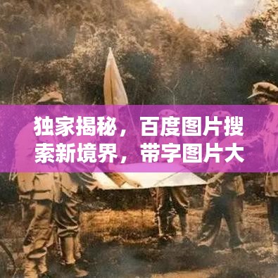 独家揭秘，百度图片搜索新境界，带字图片大全一网打尽！