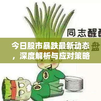 今日股市暴跌最新动态，深度解析与应对策略
