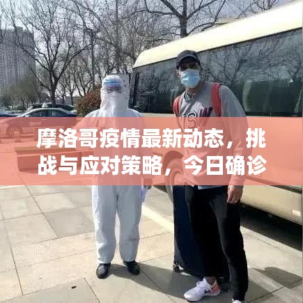 摩洛哥疫情最新动态，挑战与应对策略，今日确诊人数更新