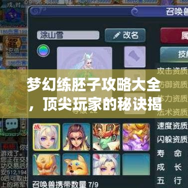 梦幻练胚子攻略大全，顶尖玩家的秘诀揭秘！