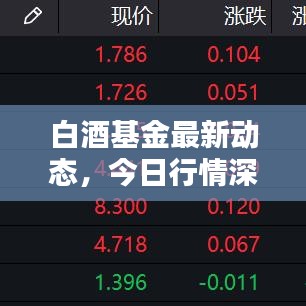 白酒基金最新动态，今日行情深度解析