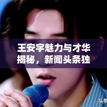 王安宇魅力与才华揭秘，新闻头条独家报道