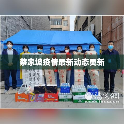 蔡家坡疫情最新动态更新