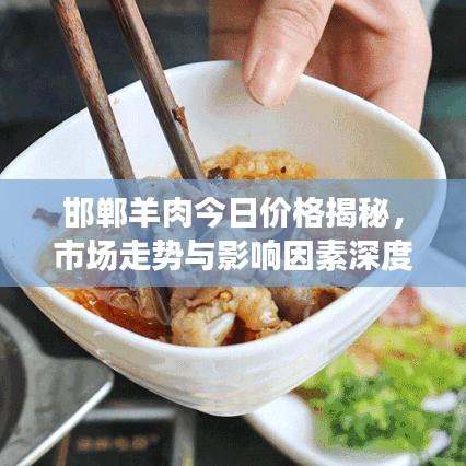 邯郸羊肉今日价格揭秘，市场走势与影响因素深度解析