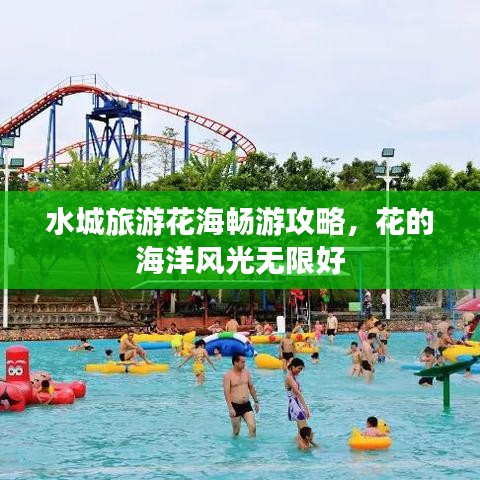 水城旅游花海畅游攻略，花的海洋风光无限好