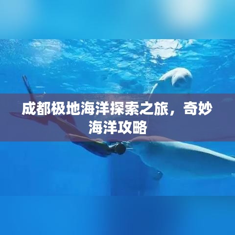 成都极地海洋探索之旅，奇妙海洋攻略