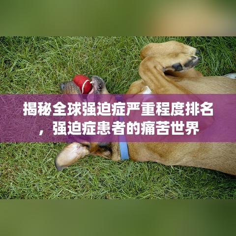 揭秘全球强迫症严重程度排名，强迫症患者的痛苦世界