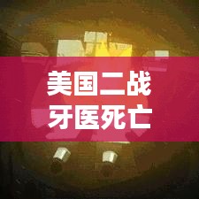美国二战牙医死亡人数最新统计揭秘，数字背后的残酷真相