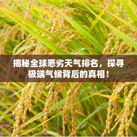 揭秘全球恶劣天气排名，探寻极端气候背后的真相！