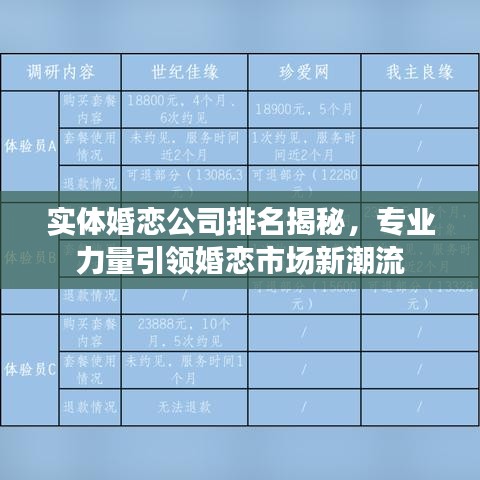 实体婚恋公司排名揭秘，专业力量引领婚恋市场新潮流