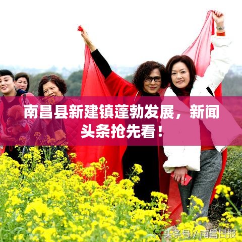 南昌县新建镇蓬勃发展，新闻头条抢先看！