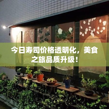 今日寿司价格透明化，美食之旅品质升级！