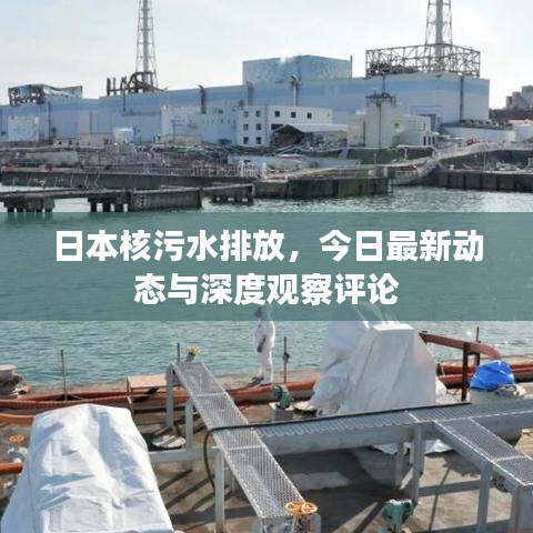 日本核污水排放，今日最新动态与深度观察评论