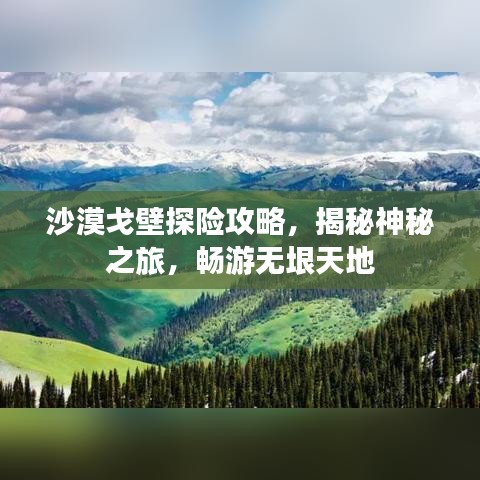 沙漠戈壁探险攻略，揭秘神秘之旅，畅游无垠天地