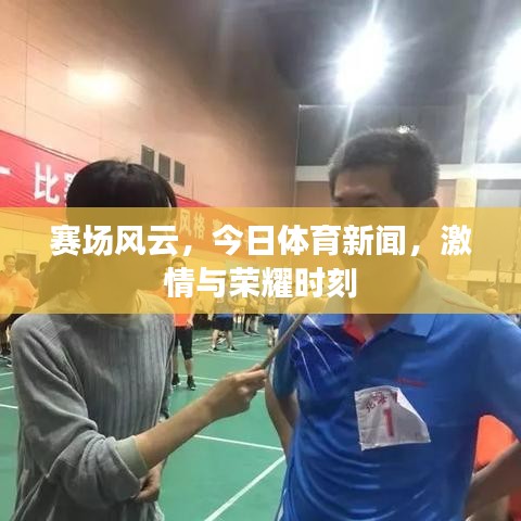 赛场风云，今日体育新闻，激情与荣耀时刻